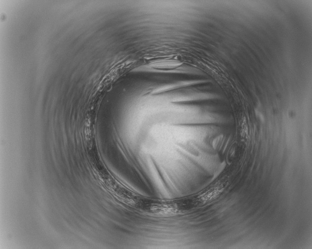 X0000054440559200508270015