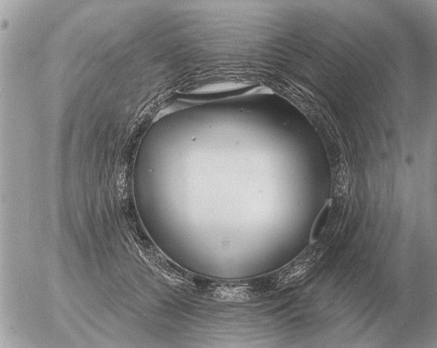 X0000054440560200508270015