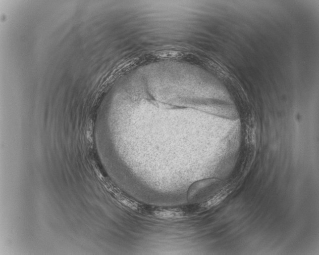 X0000054440561200508270015