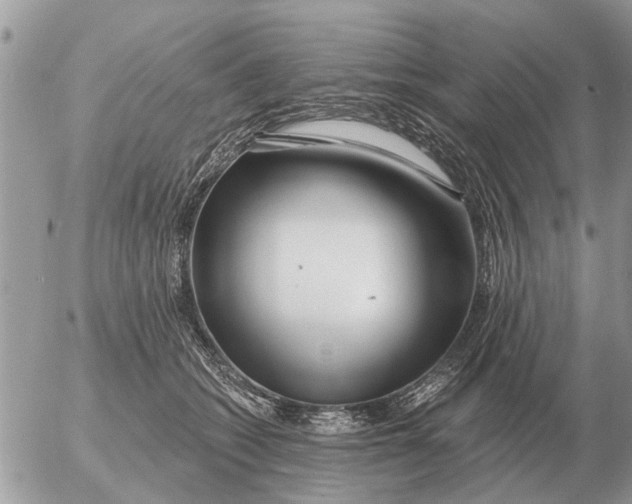 X0000054440562200508270015