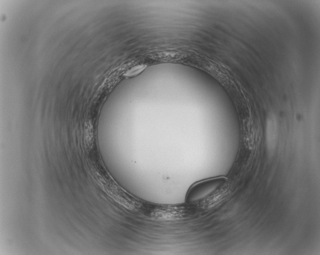 X0000054440563200508270015