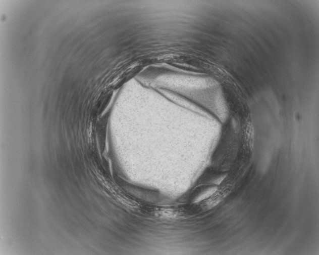 X0000054440565200508270015