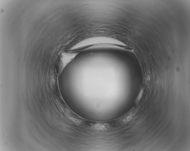 X0000054440566200508270015