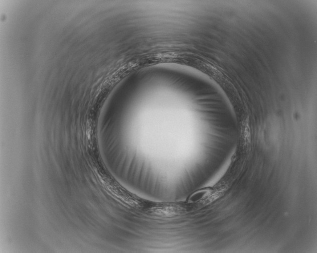 X0000054440567200508270015