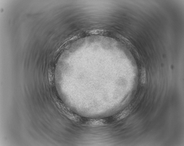 X0000054440569200508270015