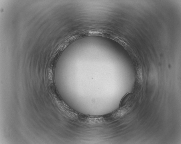 X0000054440571200508270015