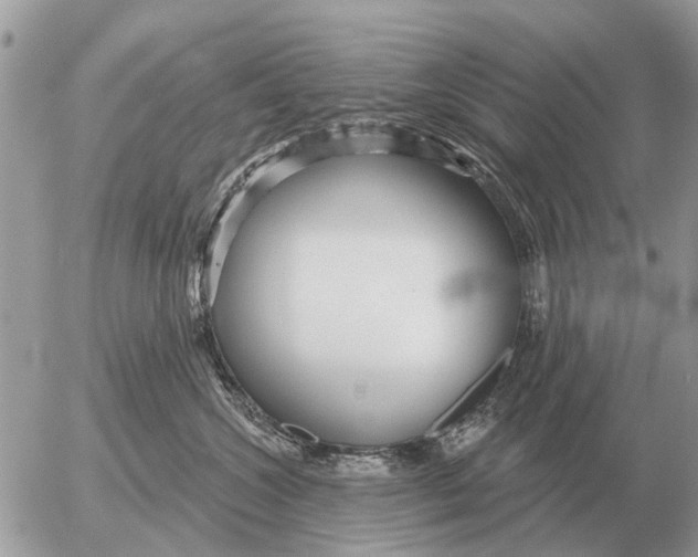 X0000054440572200508270016