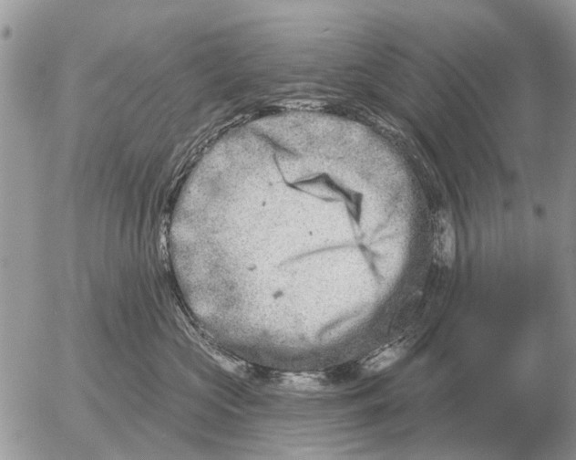 X0000054440573200508270016