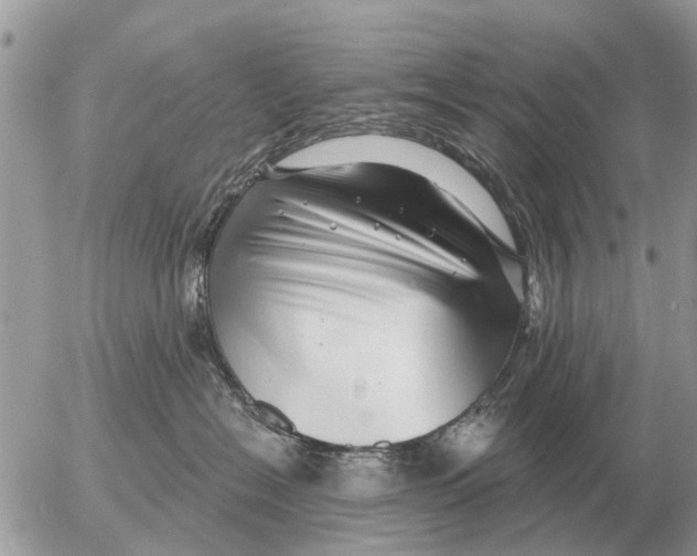 X0000054440574200508270016