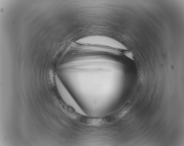 X0000054440575200508270016