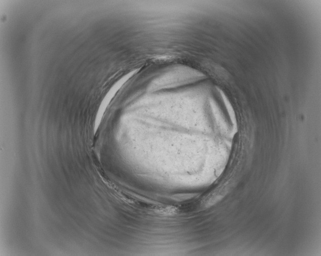 X0000054440576200508270016