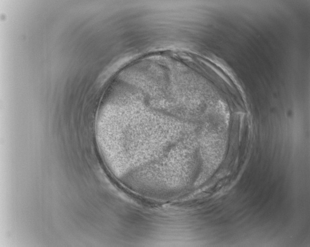 X0000054440577200508270015