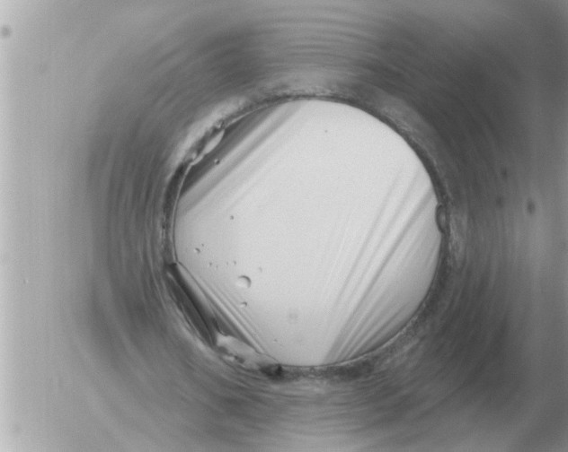 X0000054440578200508270015