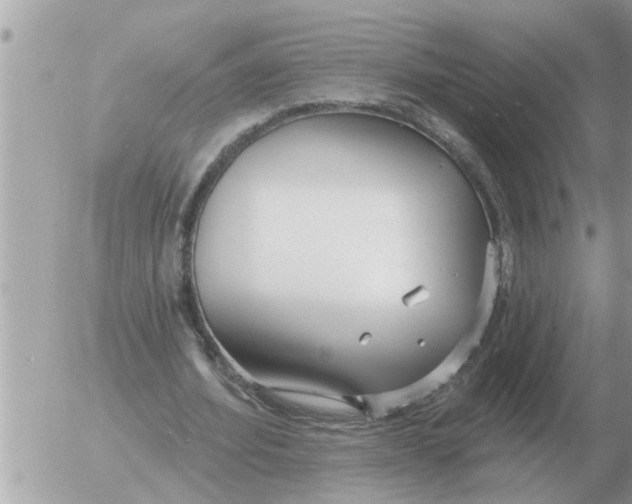 X0000054440580200508270015