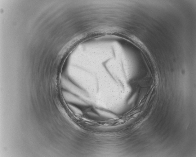 X0000054440581200508270015