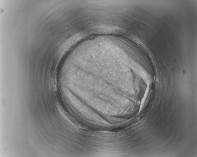 X0000054440582200508270015