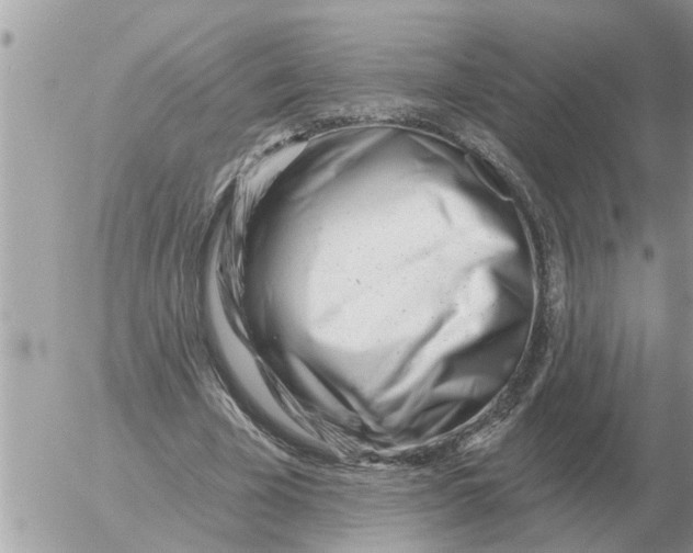 X0000054440585200508270015