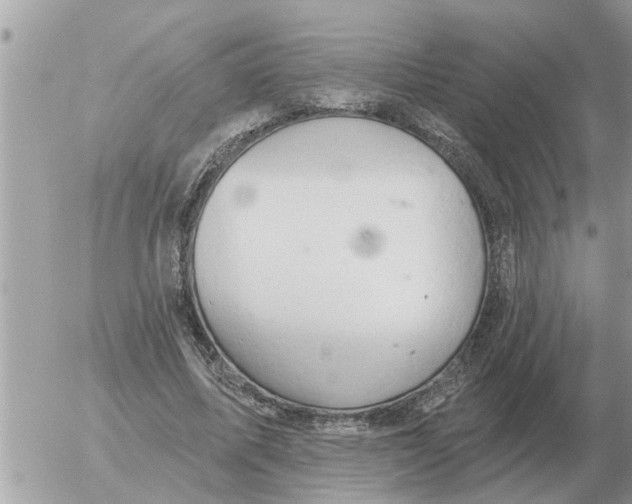 X0000054440587200508270015