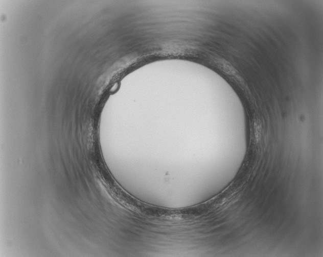 X0000054440588200508270015