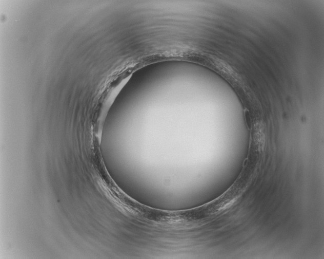 X0000054440589200508270015