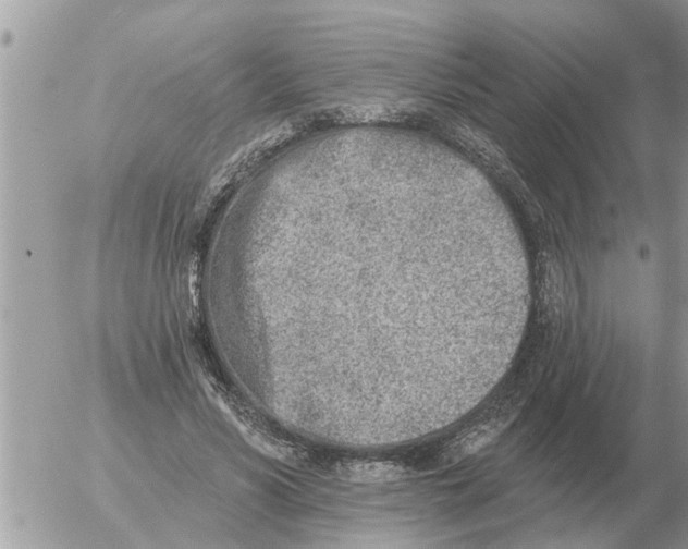 X0000054440590200508270015