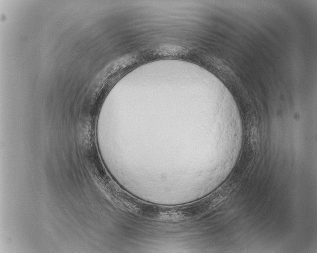 X0000054440591200508270015