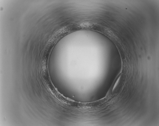 X0000054440593200508270015