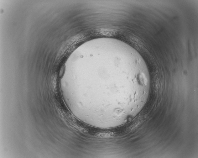 X0000054440595200508270014