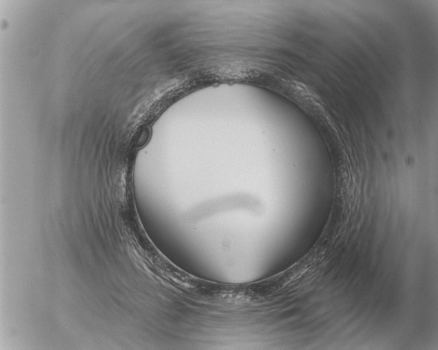 X0000054440596200508270014