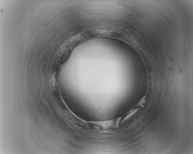 X0000054440597200508270014