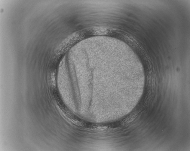 X0000054440598200508270014