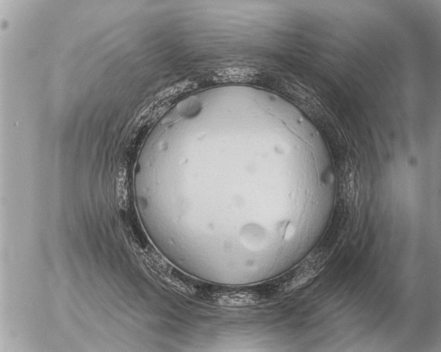 X0000054440599200508270014