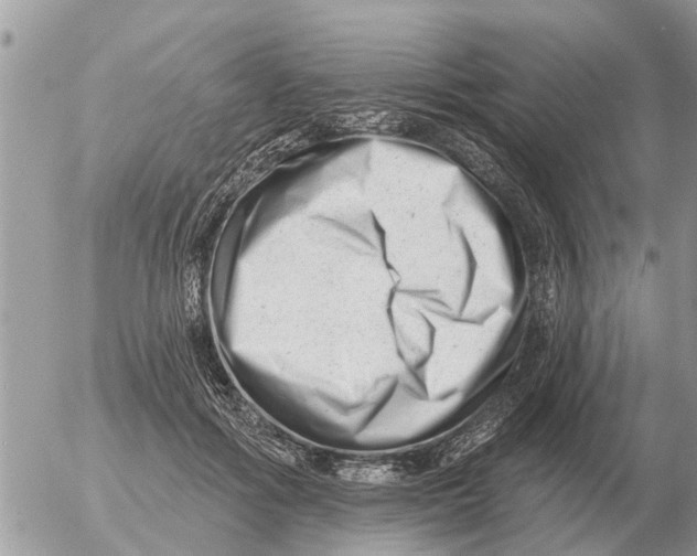 X0000054440602200508270014