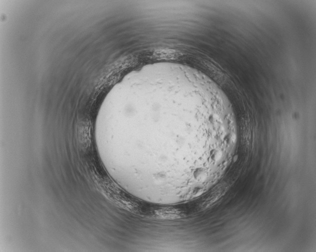 X0000054440603200508270014