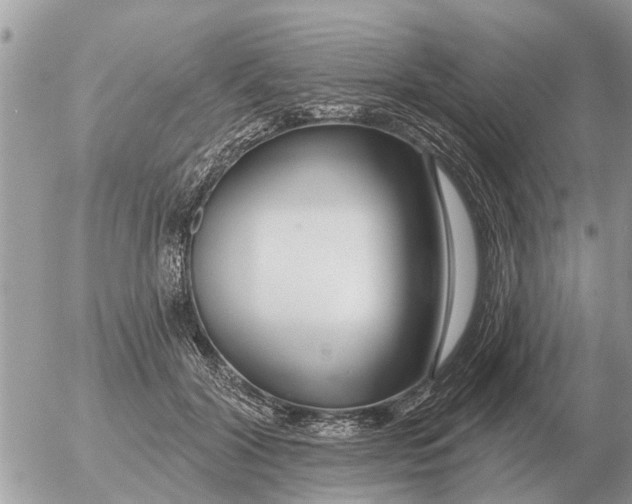 X0000054440604200508270014