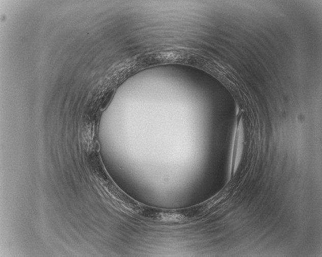 X0000054440605200508270014