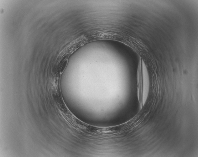 X0000054440607200508270014