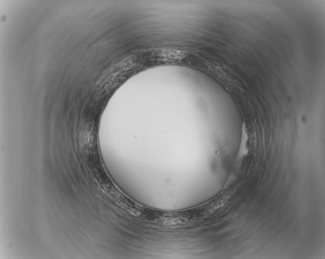 X0000054440608200508270014