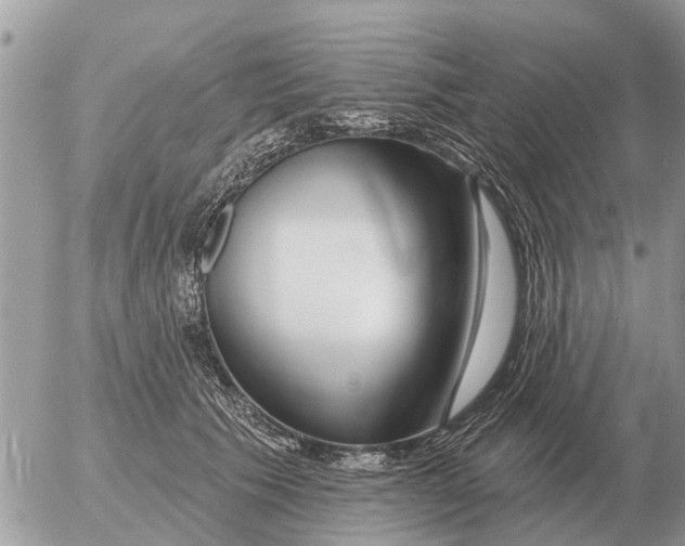 X0000054440609200508270014