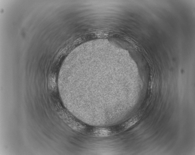 X0000054440610200508270014