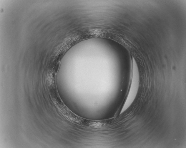 X0000054440611200508270014