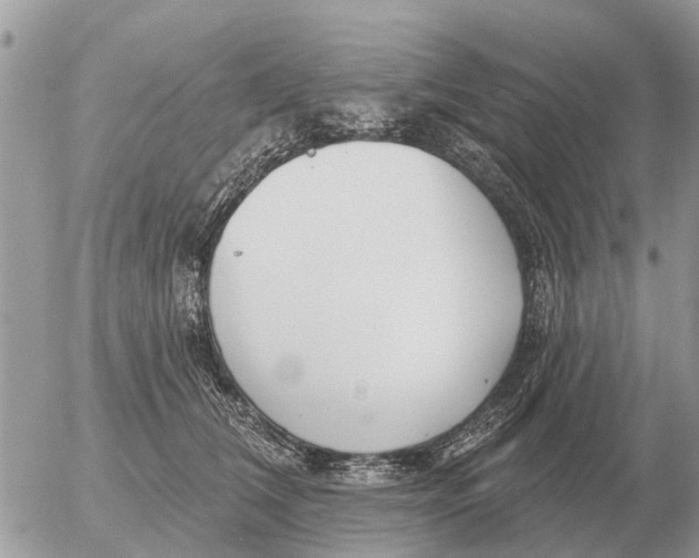 X0000054440612200508270014