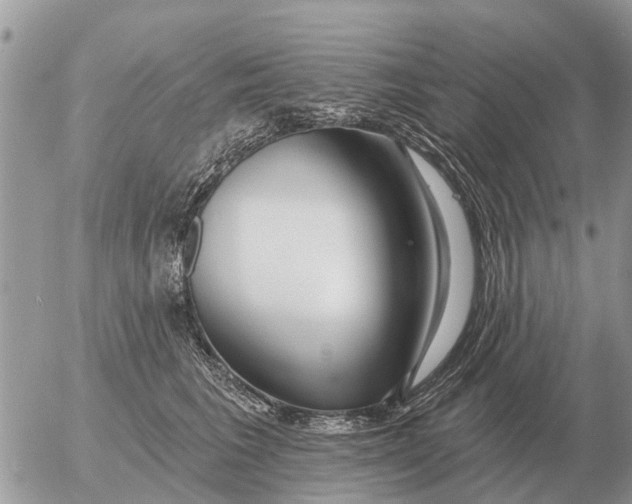 X0000054440613200508270014