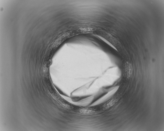 X0000054440614200508270014