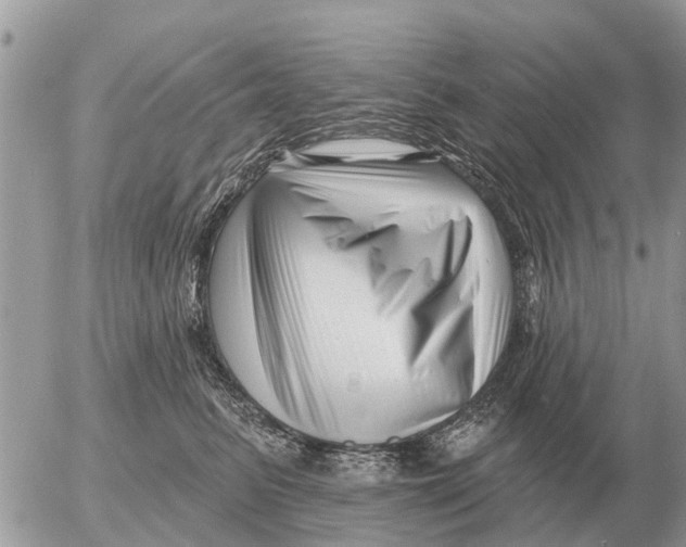 X0000054440615200508270014