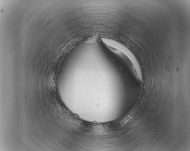 X0000054440616200508270014