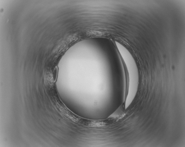 X0000054440617200508270014