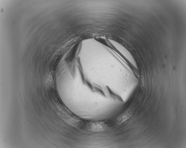 X0000054440618200508270014