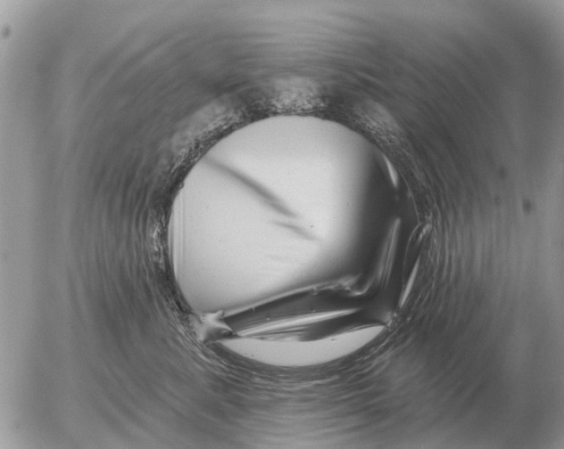 X0000054440619200508270014