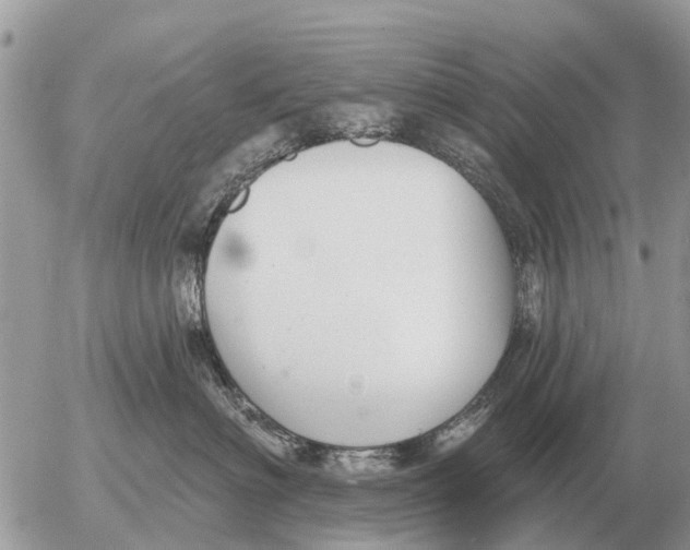 X0000054440622200508270014